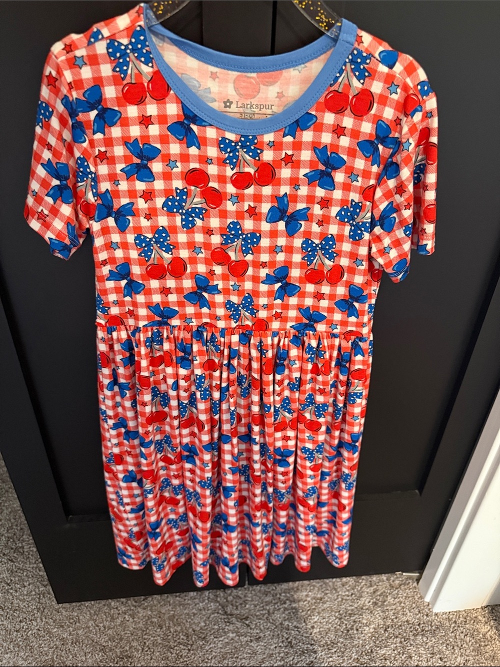 Larkspur Red & Blue Gingham Cherry Kids Dress